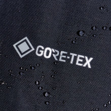 Berghaus Hillwalker Gore-Tex InterActive striukė - vyriška striukė, M dydis (juoda)