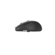 Gembird MUSW-6B-01 mouse Office Right-hand RF Wireless Optical 1600 DPI