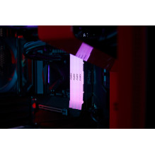 Kingston Technology FURY 16GB 3200MT / s DDR4 CL16 DIMM (Kit of 2) Renegade RGB Kingston Technology FURY 16GB 3200MT / s DDR4 CL16 DIMM (Kit of 2) Renegade RGB