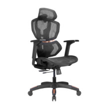 PREMIUM chair with head and...