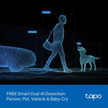 WRL CAMERA PAN / TILT / DUAL TAPO C245D TP-LINK