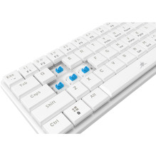 White Shark GK-006221 Nagamaki White-Mechanical-Blue.SW