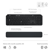 KLAVIATŪRA + PELĖS COMBO MXKEYS S / BLACK 920-011614 LOGITECH