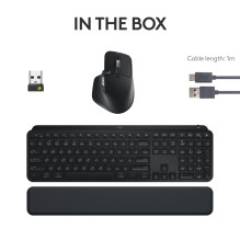 KLAVIATŪRA + PELĖS COMBO MXKEYS S / BLACK 920-011614 LOGITECH