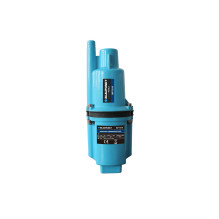 Blaupunkt WP1010 vandens pompa