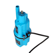 Blaupunkt WP1010 Water Pump