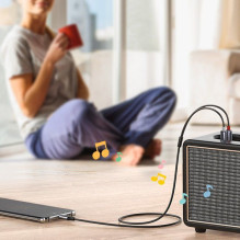 Ugreen Ugreen garso kabelis USB C tipo (kištukas) - 2RCA (kištukas) 1,5 m pilkas (20193 CM451)