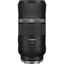 Canon EOS R8 + RF 600mm f / 11 IS STM