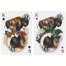 Theory11 Moooi Extinct Animals playing cards