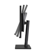 Monitorius - ASUS ProArt PA328CGV 32" Quad HD 2560x1440 100% sRGB Juodas