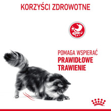 Sausas Kačių Maistas - Royal Canin Virškinimo Priežiūrai, 400g