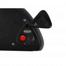 „Green Cell“ akumuliatorius 13 Ah (468 Wh) elektriniams dviračiams