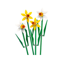 Konstruktorius - LEGO 40747 Daffodils (LEGO, 216 dalių, Botanikos kolekcija)