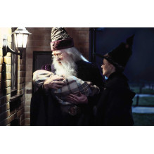 Kolekcinė Atvirukų Rinkinys - Harry Potter 100 Unikalių Atvirukų Tvirta Dėžutė