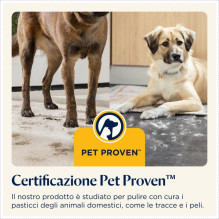 Cleaning equipment - Bissell CrossWave OmniForce Edge Pro (200W, 25.9V, 0.63L)