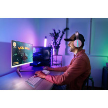 Monitor - Philips Monitor Evnia 27M2N3501PA 27" QHD 2560x1440 260Hz