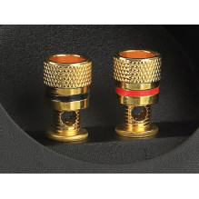 Terminale głośnikowe 2-biegunowe Terminale głośnikowe 2-biegunowe