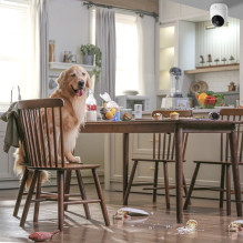 Dreame Navo Care 1 Incam indoor camera - white