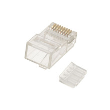 EXTRALINK RJ45 KIŠTUKAS CAT6 UTP, 100 vnt. EXTRALINK RJ45 KIŠTUKAS CAT6 UTP, 100 vnt.