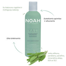 YAL Hydrating And Restorative Treatment Shampoo Drėkinantis šampūnas su hialurono rūgštimi ir šalaviju, 250ml