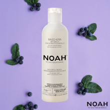 2.6. Anti-Yellow Hair Mask, 250ml