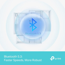 TP-LINK ilgo veikimo „Bluetooth“ USB adapteris UB500 Plus