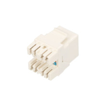 EXTRALINK CAT6 UTP RJ45 Keystone (EL-CAT6UTP-KEYSTONE) EXTRALINK CAT6 UTP RJ45 Keystone (EL-CAT6UTP-KEYSTONE)