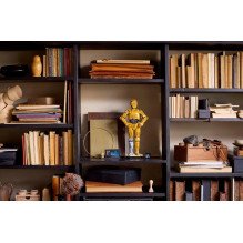 LEGO ŽVAIGŽDŽIŲ KARAI 75398 C-3PO