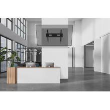 TV SET ACC WALL MOUNT / WL35-750BL18 NEOMOUNTS