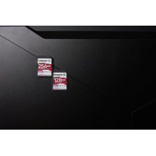 MEMORY SDXC 256GB C10 / SDR2 / 256GB KINGSTON