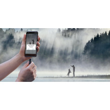 ATMINTINĖS DISKŲ BLYSTĖ USB-C 512GB / SDDDC3-512G-G46 SANDISKAS