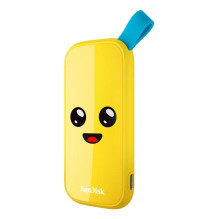 Išorinis SSD, SANDISK, 1TB, USB 3.2, skaitymo greitis 800 MB/s, SDSSDE30-1T00-G25F