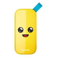 Išorinis SSD, SANDISK, 1TB, USB 3.2, skaitymo greitis 800 MB/s, SDSSDE30-1T00-G25F