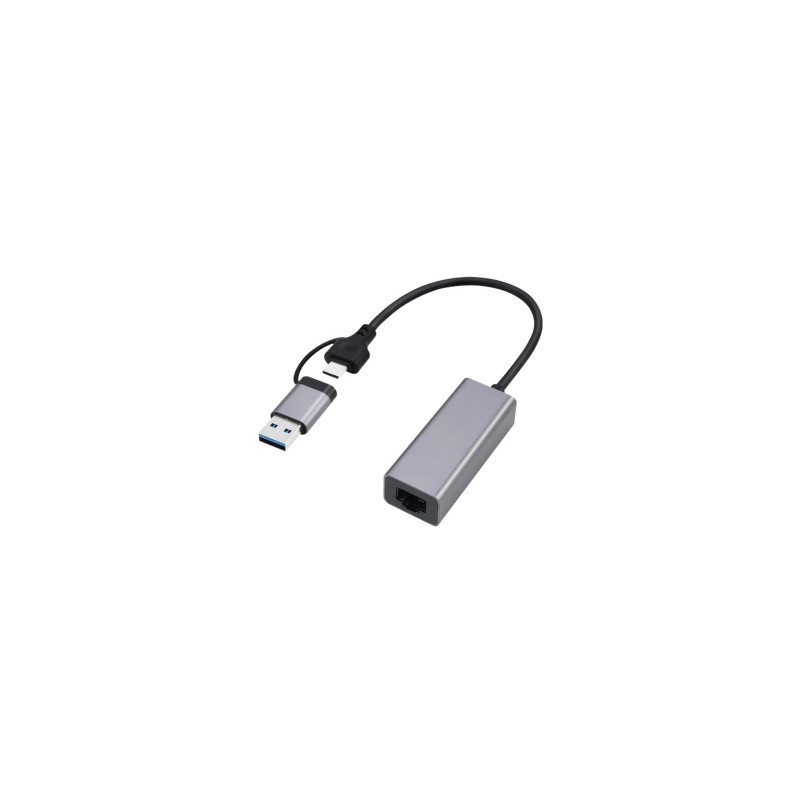 Gembird USB 2.5G gigabito tinklo adapteris, pilkos spalvos