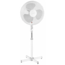 Fan Esperanza Hurricane White