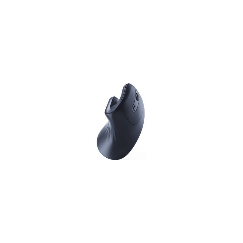 Computer mouse Gembird Ergonomic 6-button Wireless Optical Mouse Black