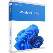 „Microsoft Windows 11 Pro ENG“ tarptautinis USB FPP