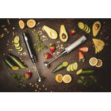 Adler AD 4617 trintuvas Panardinamas trintuvas Juoda, Sidabrinė 350 W