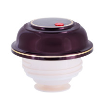 ROTPUNKT 330-16-04-0 vacuum flask 1 L Cherry (fruit)