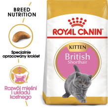 Royal Canin British Shorthair Kitten sausas kačių maistas 2 kg su paukštiena, ryžiais, daržovėmis