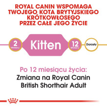 Royal Canin British Shorthair Kitten sausas kačių maistas 2 kg su paukštiena, ryžiais, daržovėmis