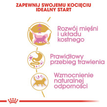 Royal Canin British Shorthair Kitten sausas kačių maistas 2 kg su paukštiena, ryžiais, daržovėmis