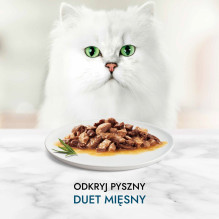 Purina 7613037552300 cats moist food 85 g