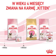 Royal Canin BABYCAT INSTINCTIVE - Wet cat food - 195 g