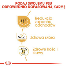 ROYAL CANIN Bulldog Adult - sausas šunų maistas - 12 kg