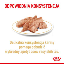ROYAL CANIN Shih Tzu suaugusių šunų šlapias ėdalas paštetas 12x85 g