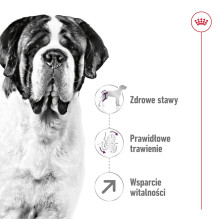 ROYAL CANIN Giant Adult - sausas šunų ėdalas - 15 kg