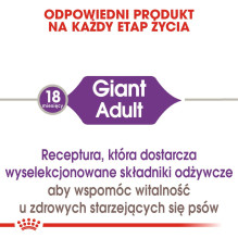 ROYAL CANIN Giant Adult - sausas šunų ėdalas - 15 kg