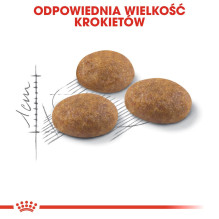 Royal Canin Outdoor sausas kačių ėdalas 2 kg