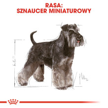 ROYAL CANIN miniatiūrinių šnaucerių suaugusių šunų sausas ėdalas - 3 kg